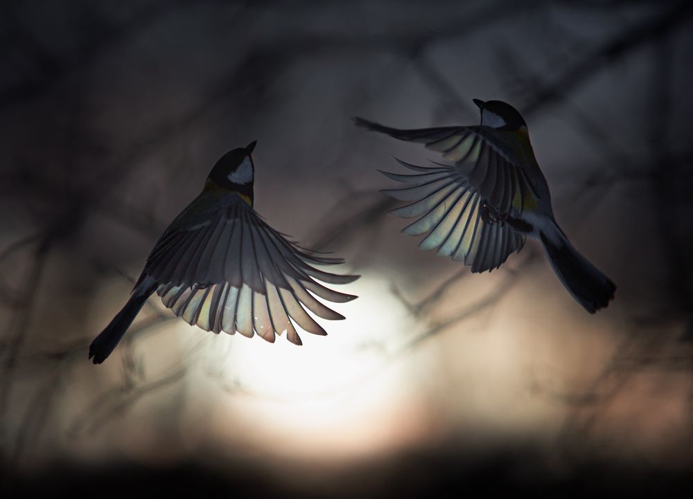 Photograph by Баранов Олег