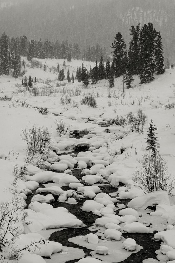 Photograph by Светлана Андреева