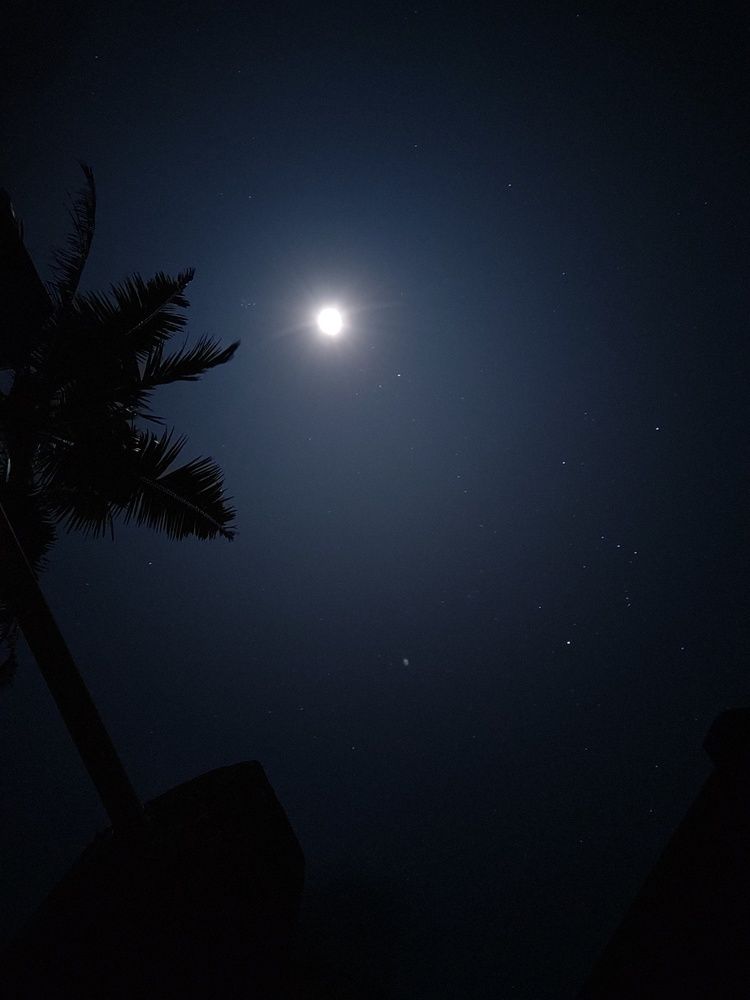 THE MOON AND ORION CONSTELLATION