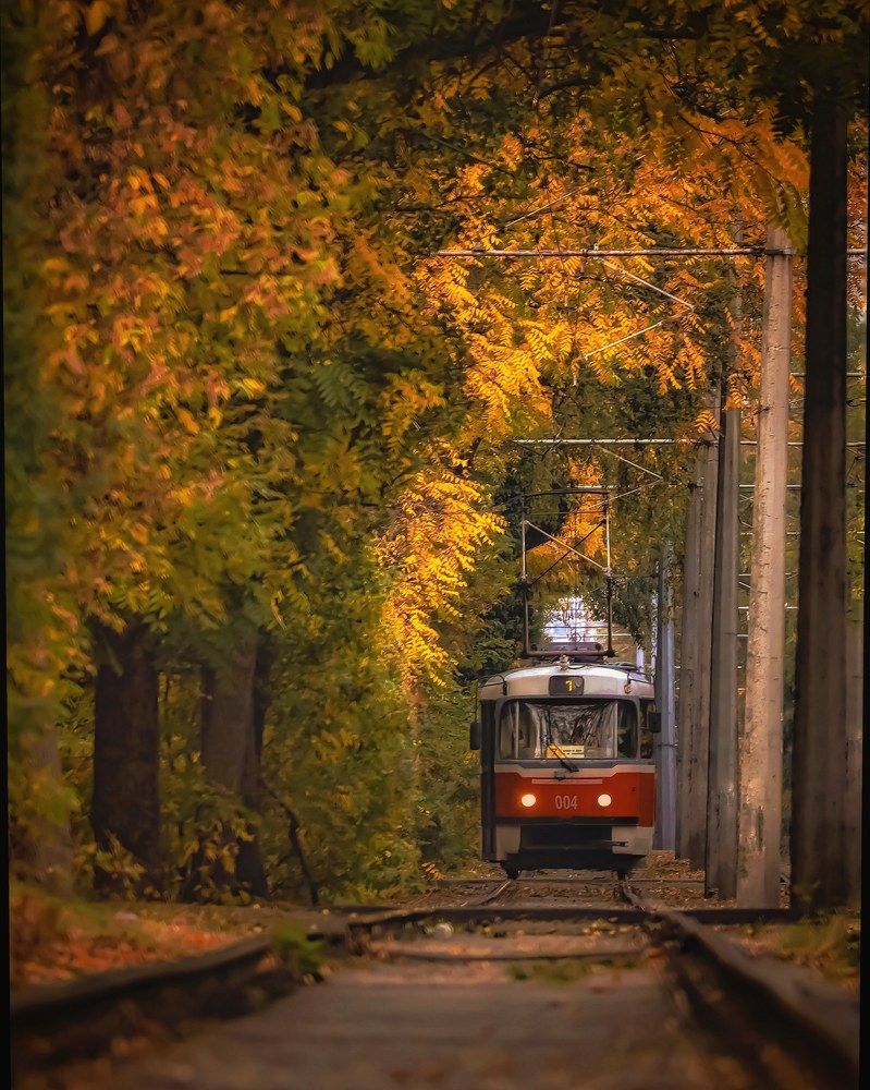 Photograph by Владимир Кульбит