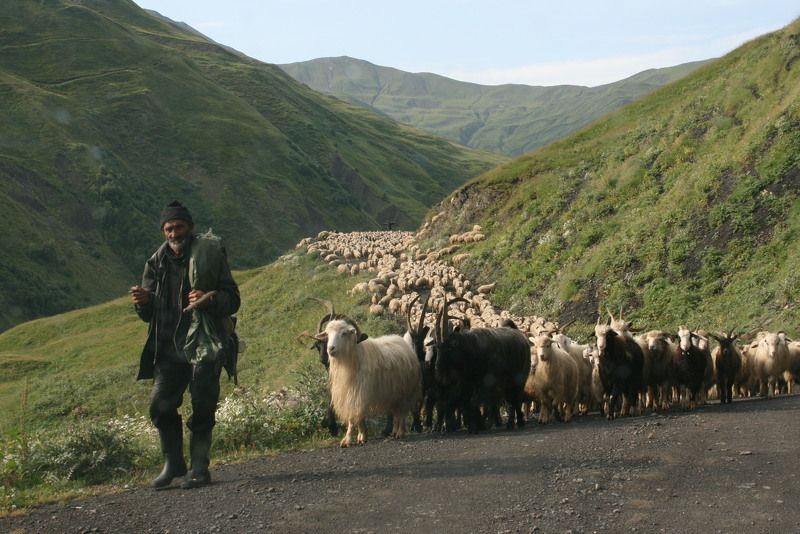 Татьяна Владимировна, Georgia