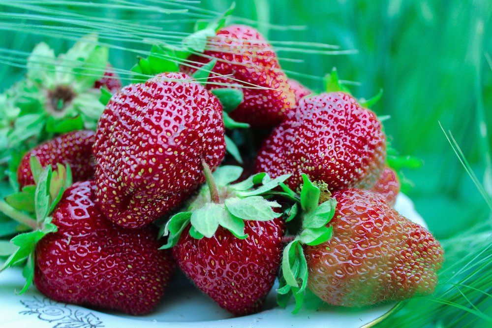 Почувствуй вкус лета