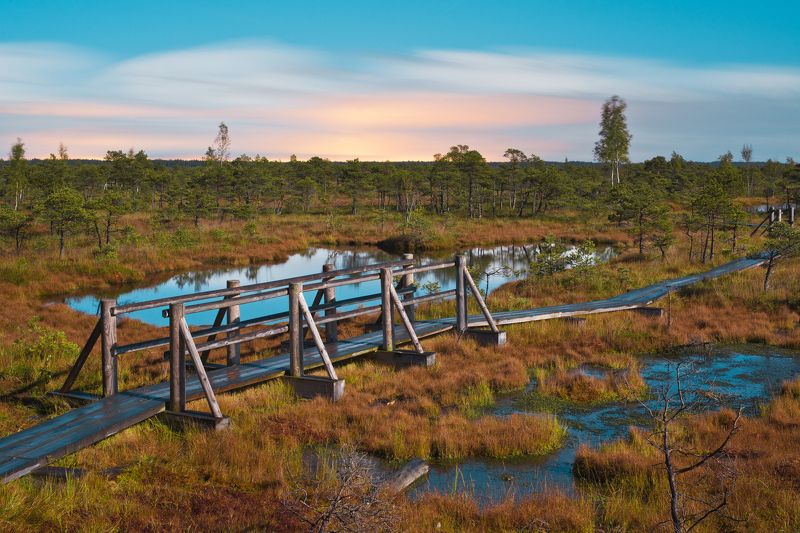 Sergey Skopintsev, Latvia