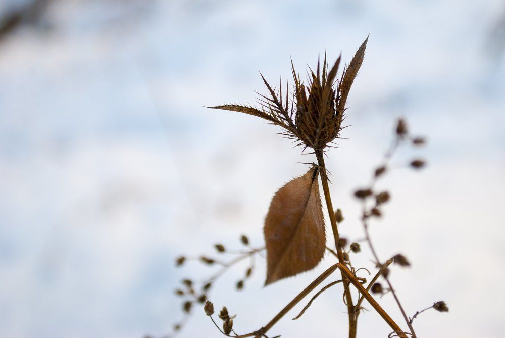 Photograph by Дмитрий