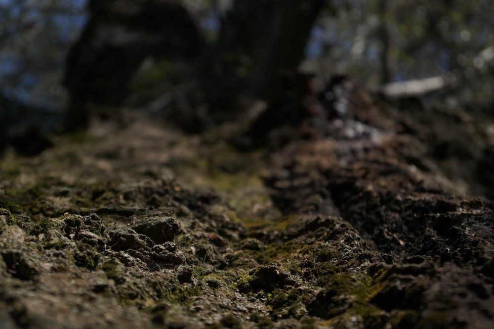 Присмотрись повнимательнее