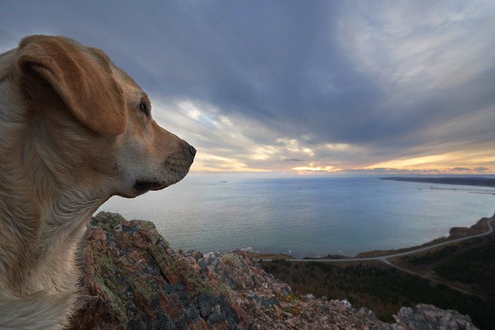 Наблюдая пейзаж Сахалина.
