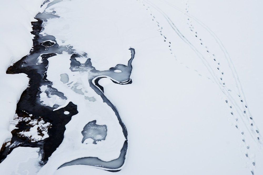 Профиль зимы.