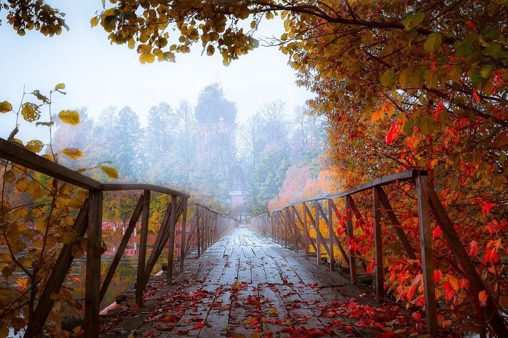 Введенская осень