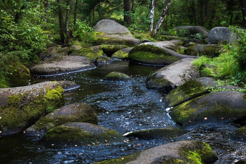 Кристина, Russia