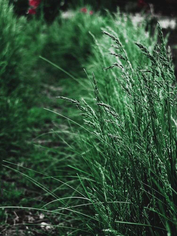 Photograph by Виктория