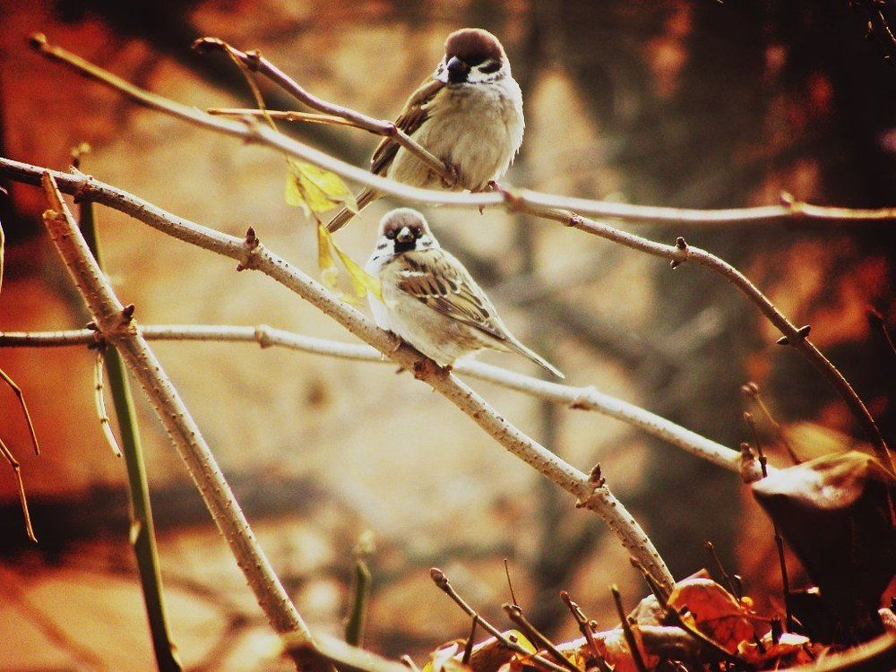 Photograph by Виктория