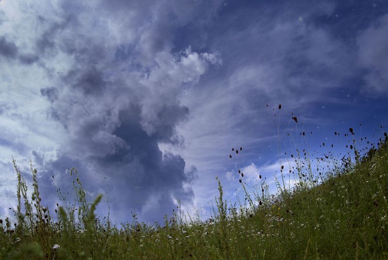 Селезнева Евгения, Russia
