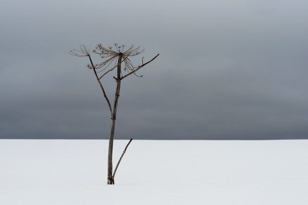 Графика зимы.