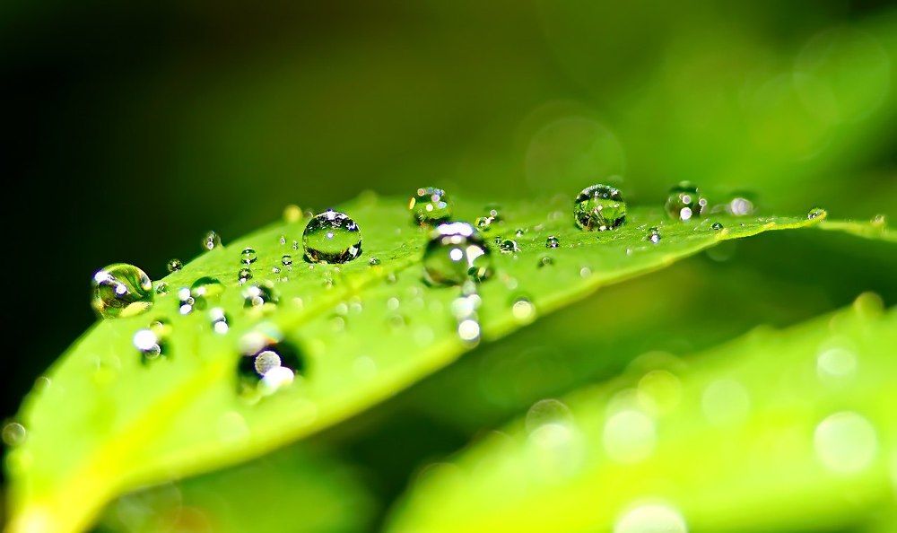 После дождя.