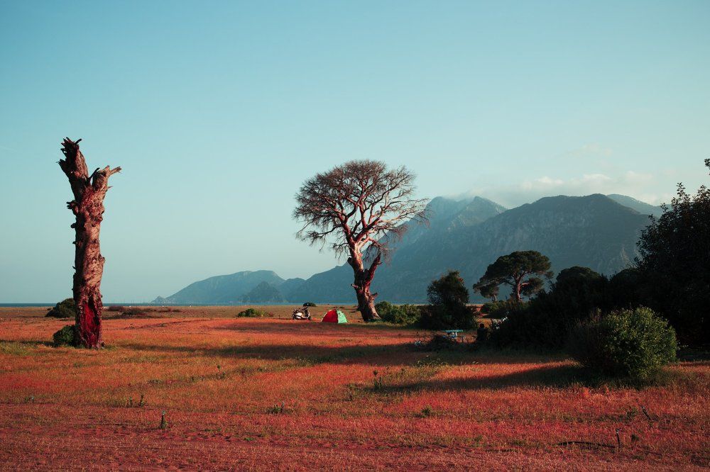 Отдых на Марсе