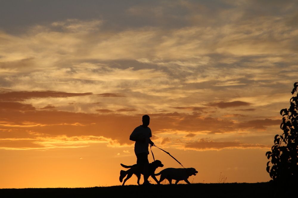 Утренняя пробежка