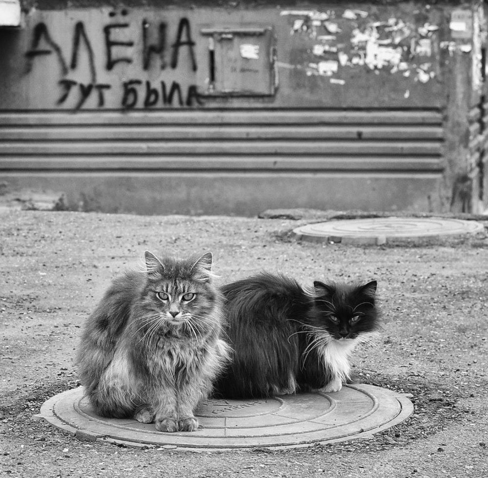 Мы тоже тут были...