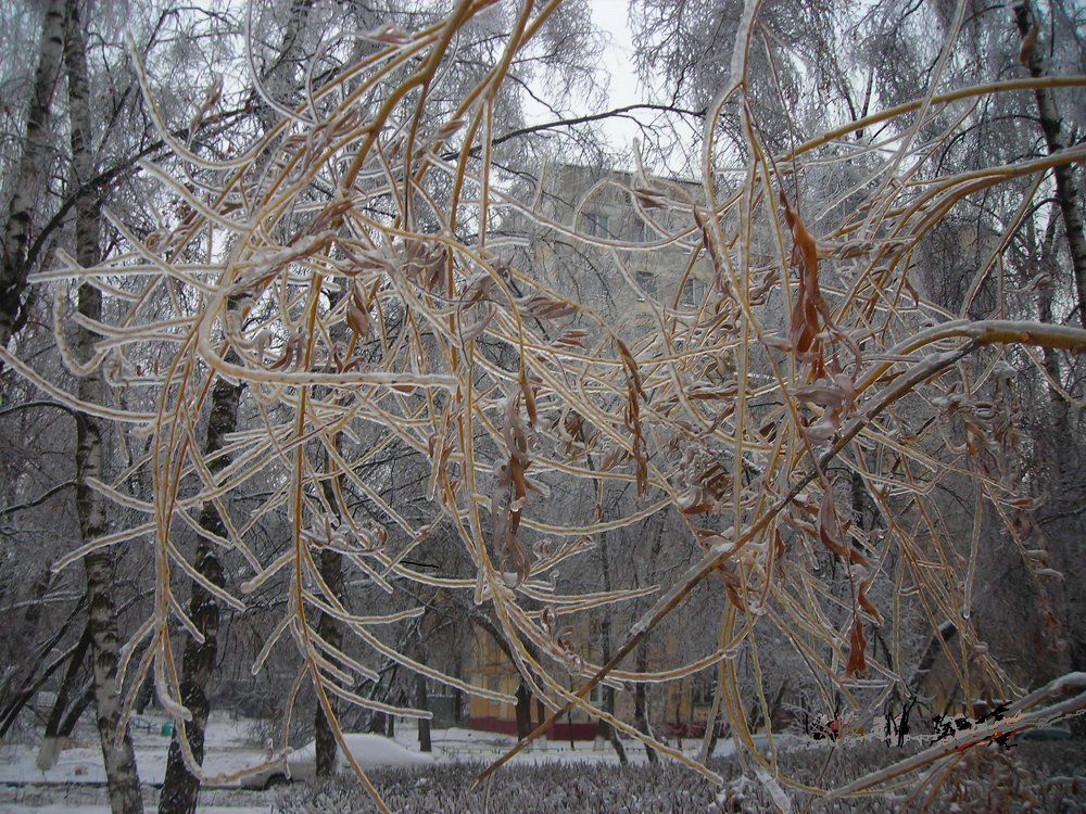 Photograph by Ирина Светозарова