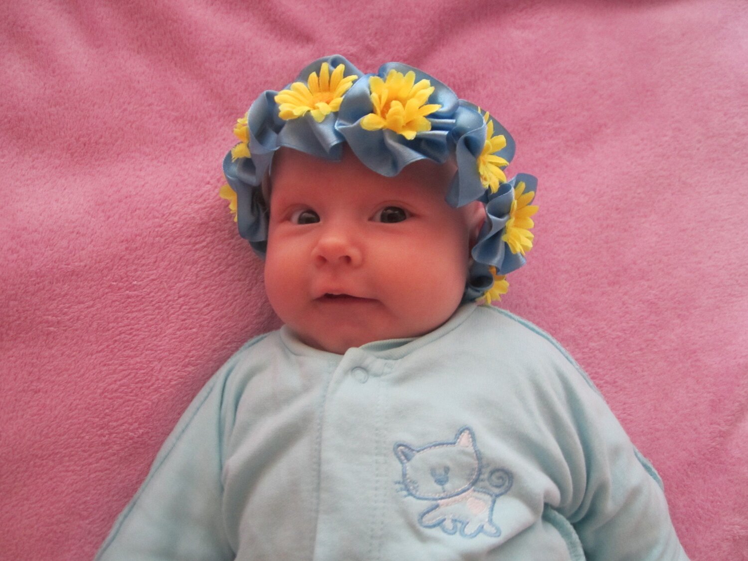 Photo #1027631