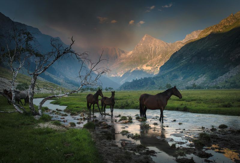 Boris Dackovskiy, Russia