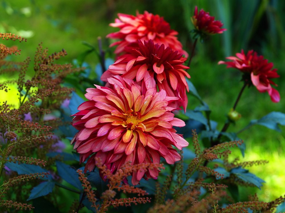 Фотография автора Jerzy Hermanowicz