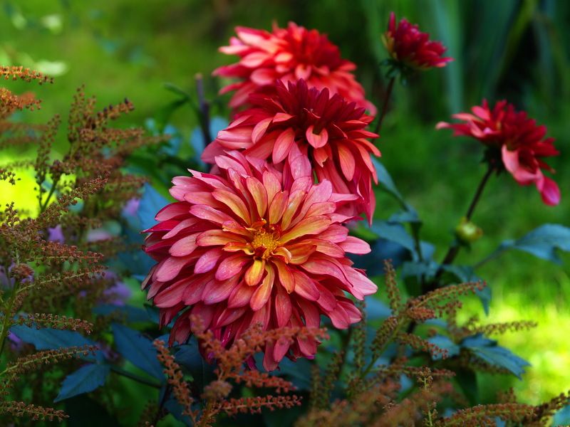 Jerzy Hermanowicz, Poland