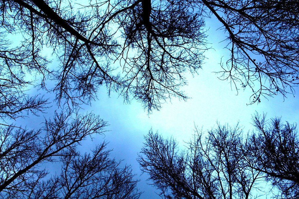 Осеннее небо