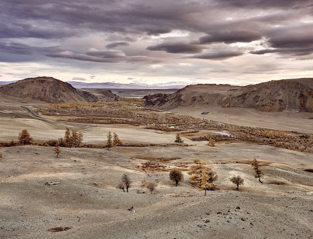 Open Spaces / Бескрайние Просторы