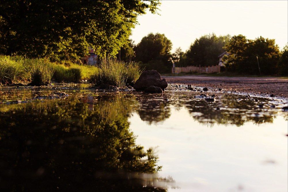 Зеркало Мира)