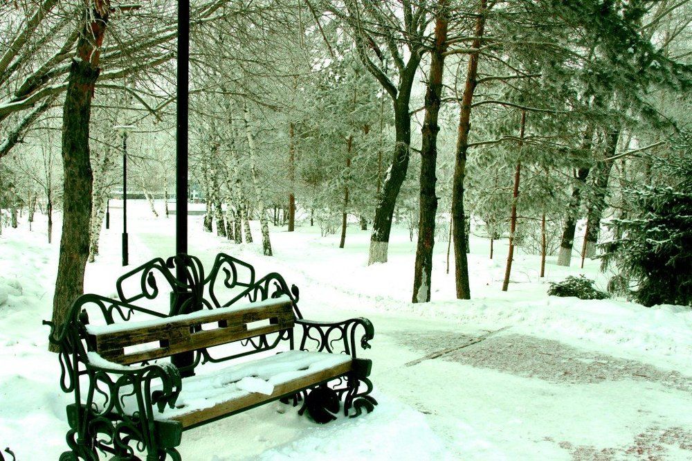 Зимний парк