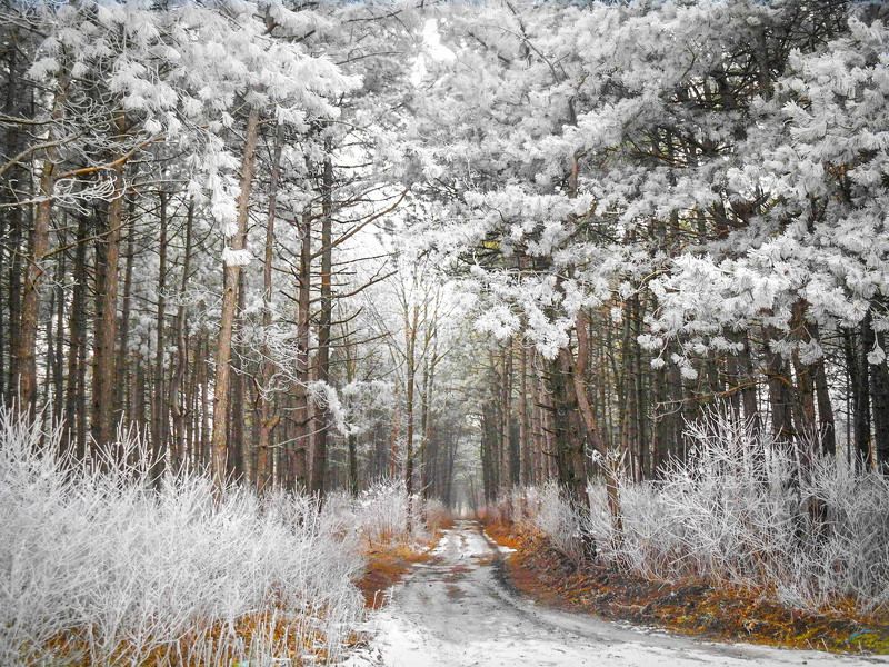 Stanislav Lyubimov, Russia