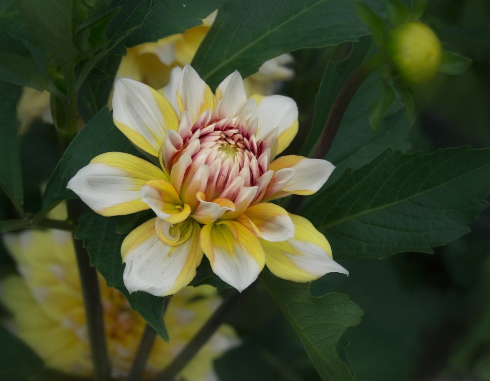 Photograph by Селезнева Евгения