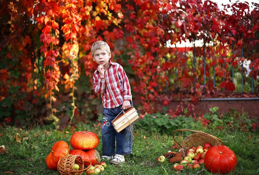 Ученая осень