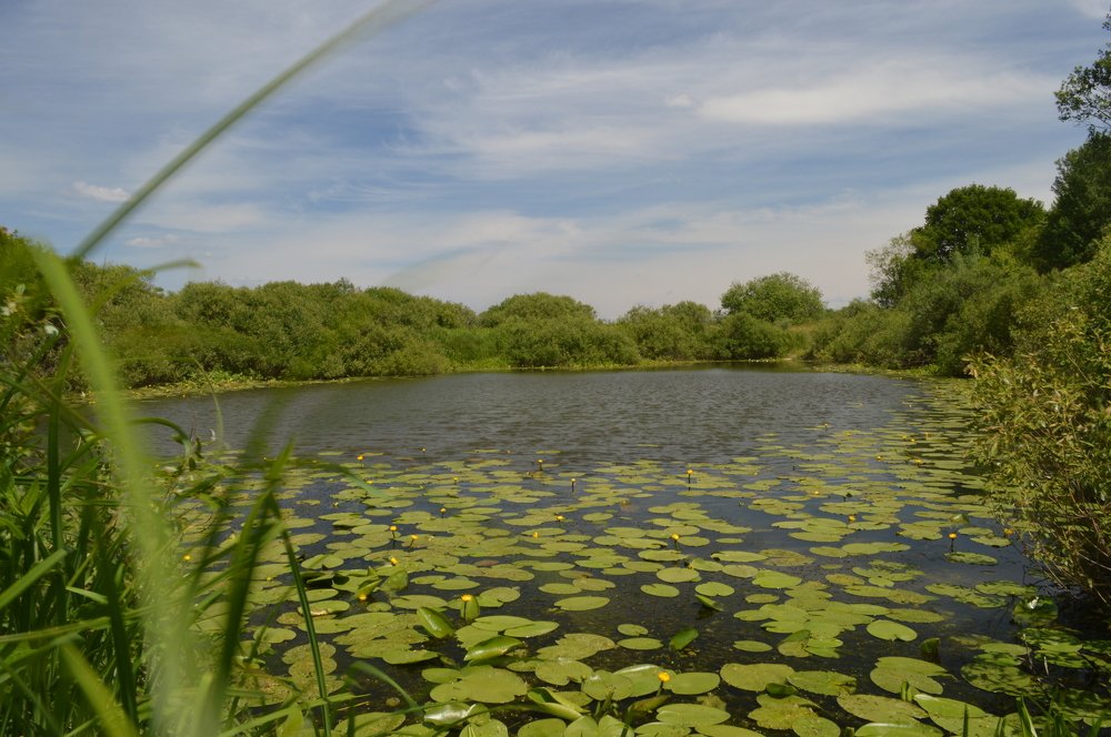 Фотография автора Ковалев Владимир