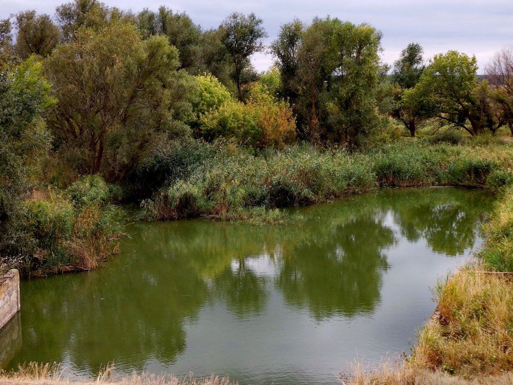 Степное озеро в Придонье