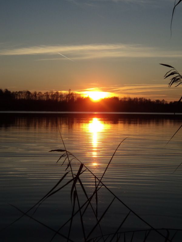 Сергей Иванов, Belarus