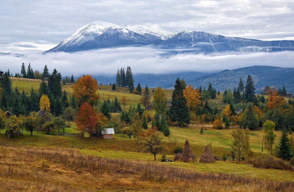 Where Fall Meets Winter