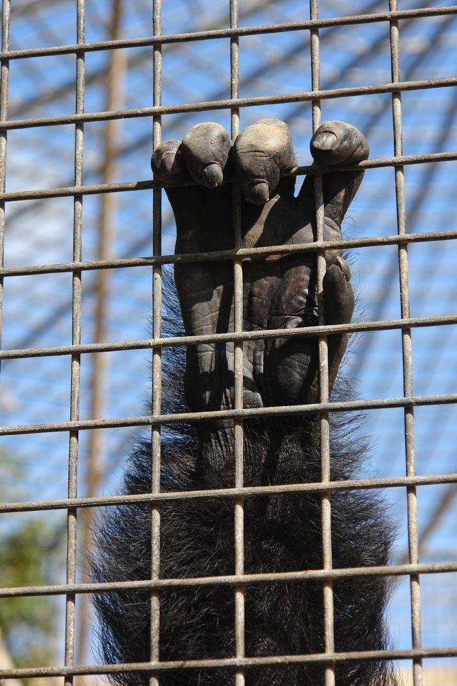 Наше удовольствие = ад для них