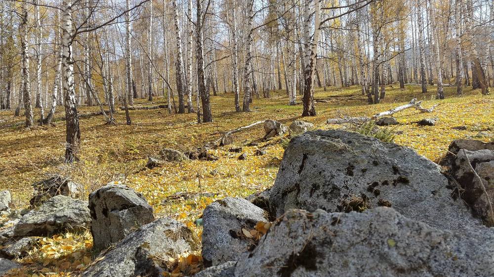 Ущелье Бойрок, Киргизия