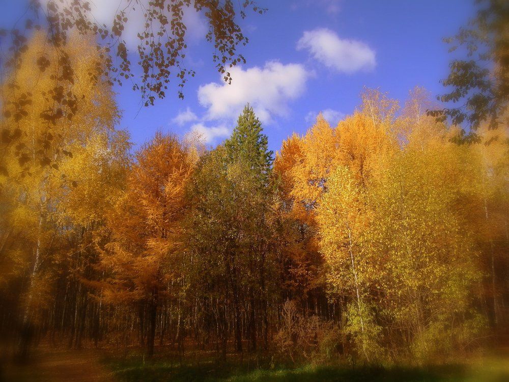 Золотая осень