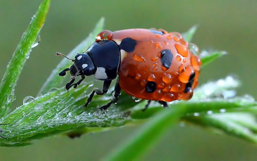 После прохладного душа