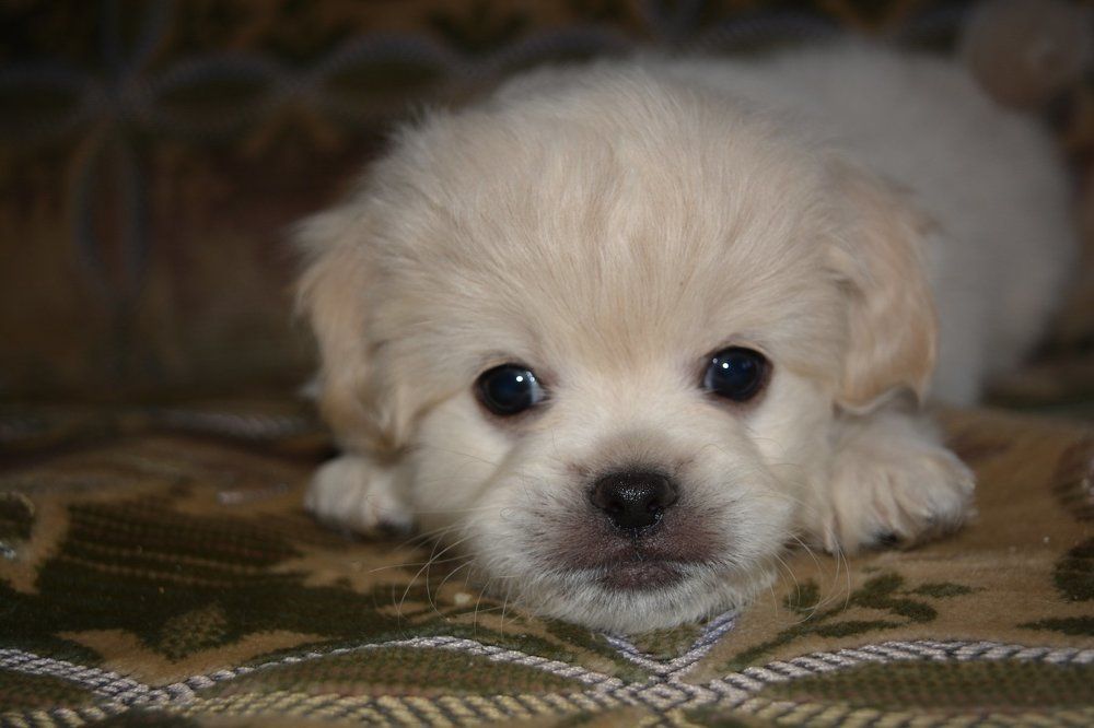 Photograph by YULIYA 85