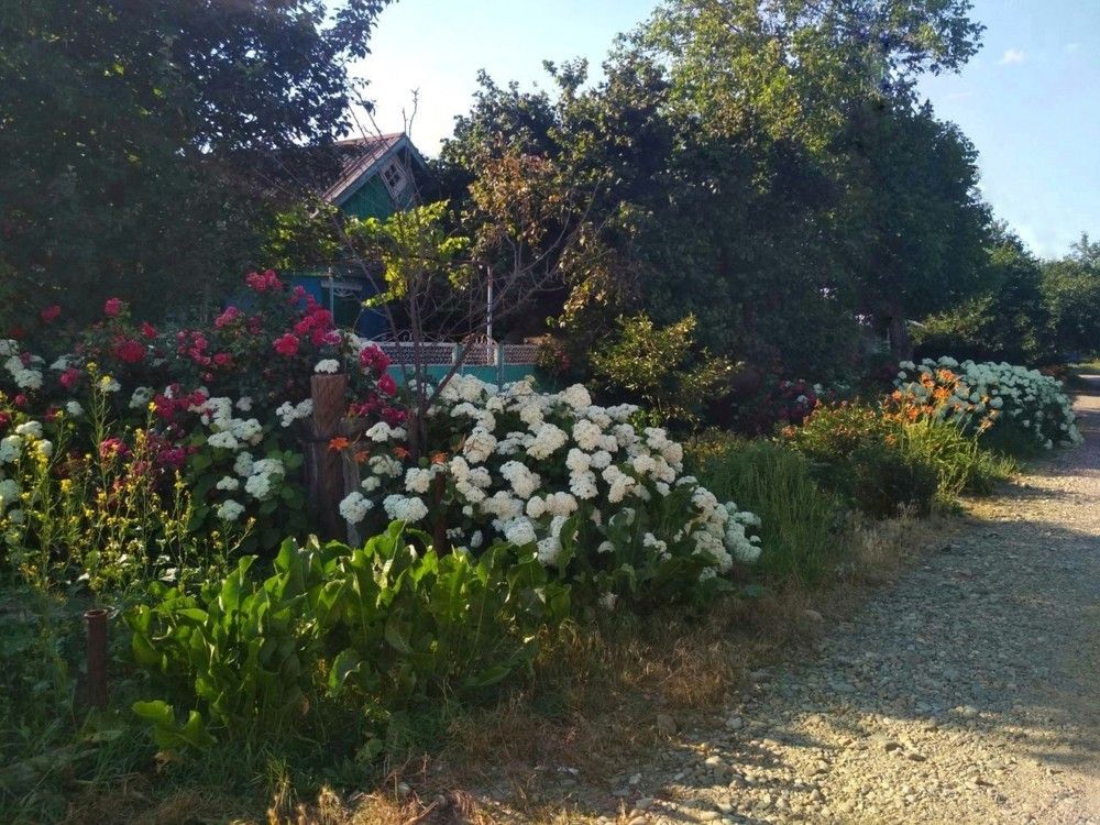 Photograph by Дарья Зотова