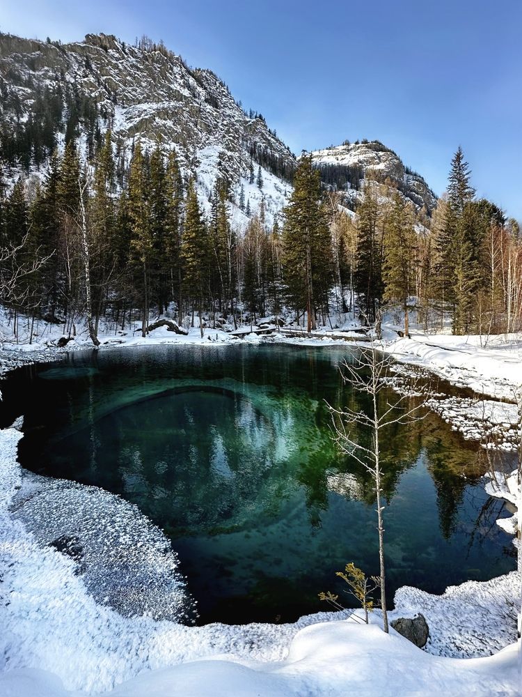 «Алтайский изумруд»