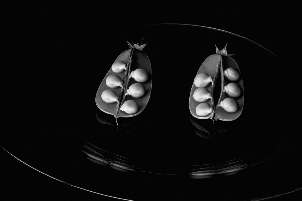 "Вместе и врозь"