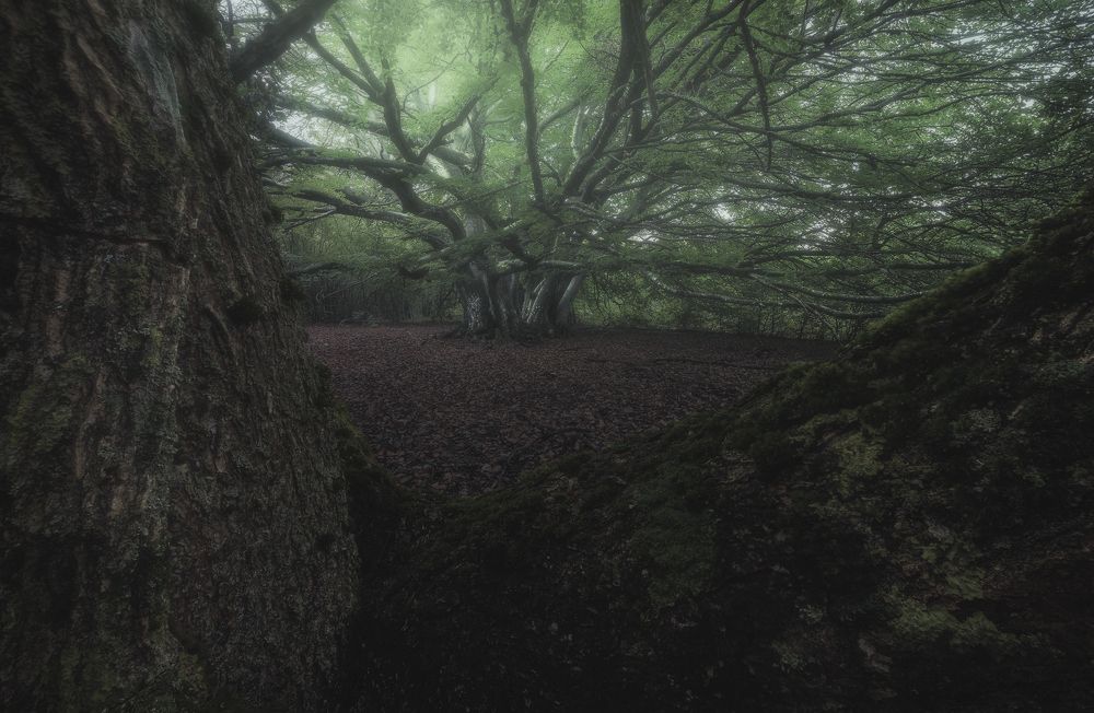 Photograph by Mario Marini