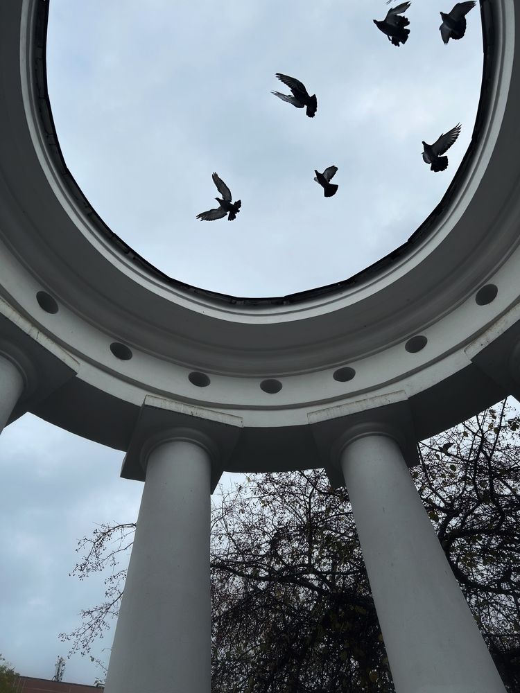 Голуби взлетают с ротонды