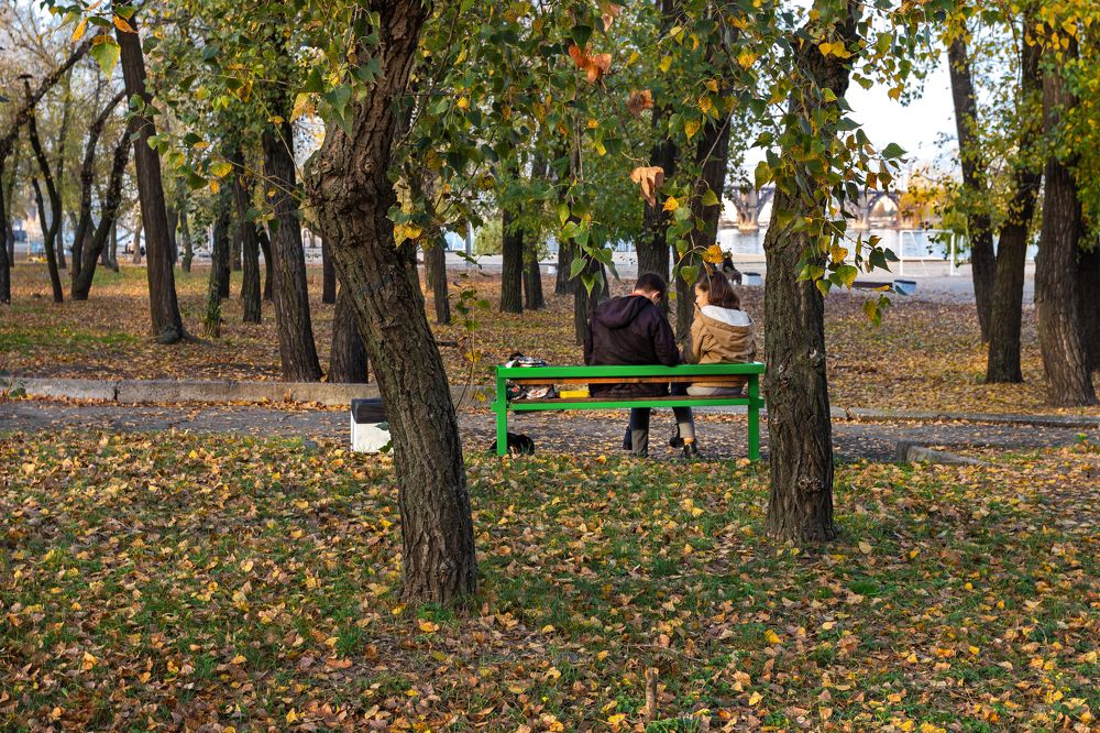 Осенняя история