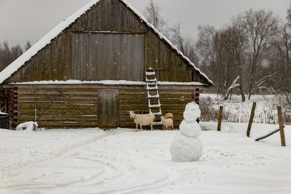 Photograph by Нина Овчинникова