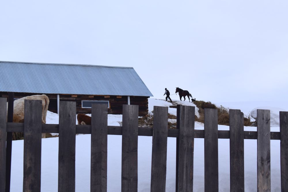 Photograph by  Татьяна Дорожко